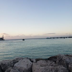 Meet your Posher, Yssenia